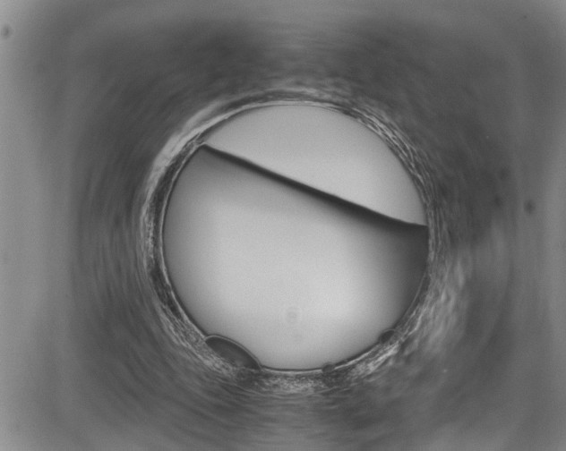 X0000084030343200702160858