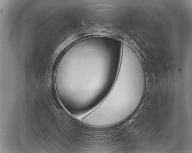 X0000084030344200702160858