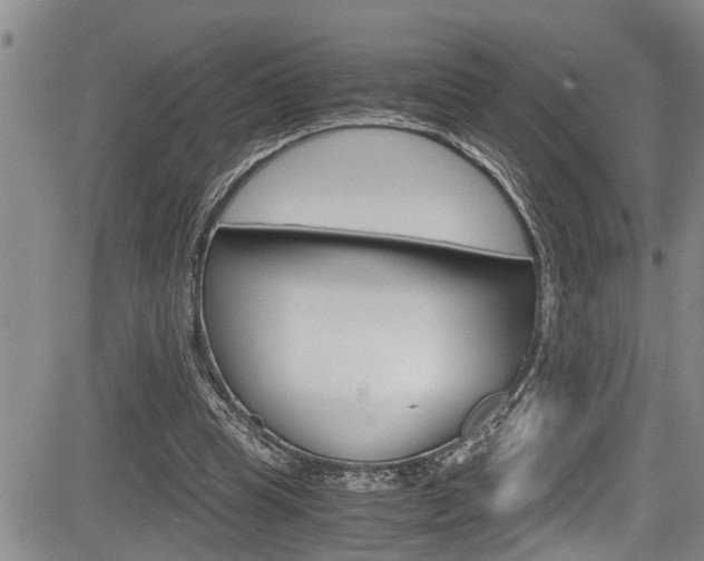 X0000084030345200702160858