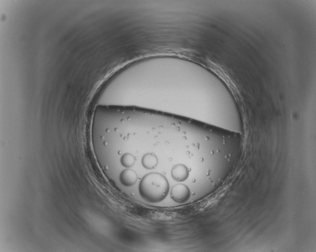 X0000084030346200702160858