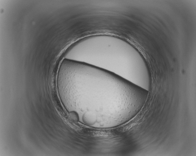 X0000084030347200702160858