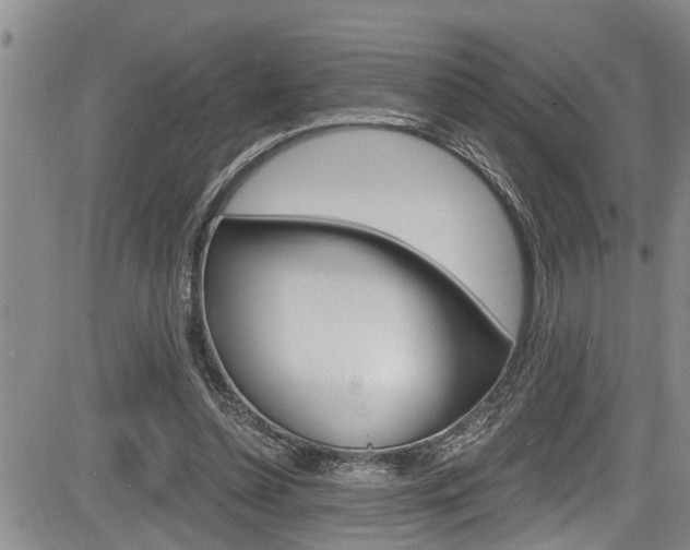 X0000084030348200702160858