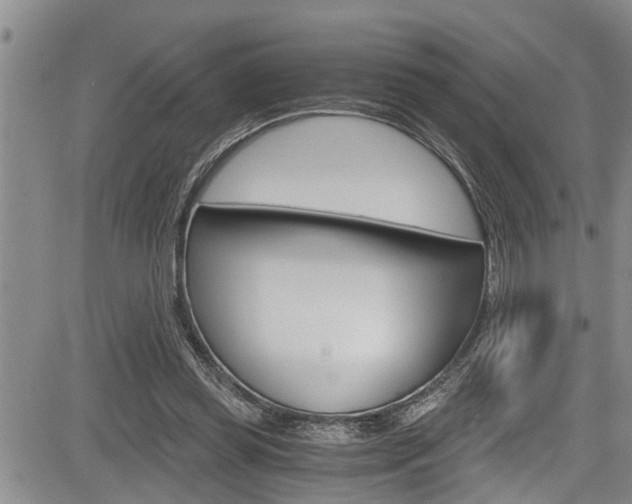 X0000084030349200702160858