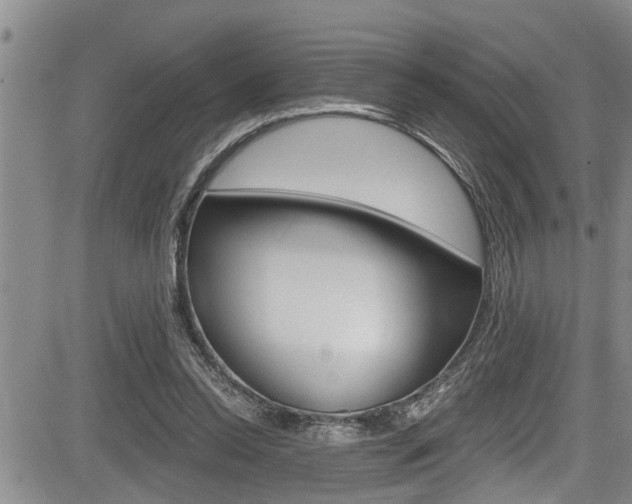 X0000084030350200702160858