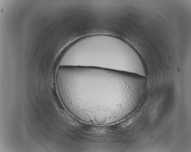 X0000084030351200702160858