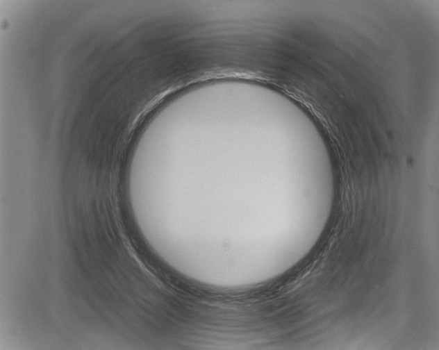 X0000084030352200702160858