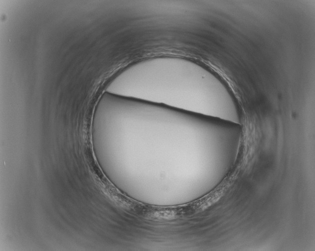 X0000084030353200702160858