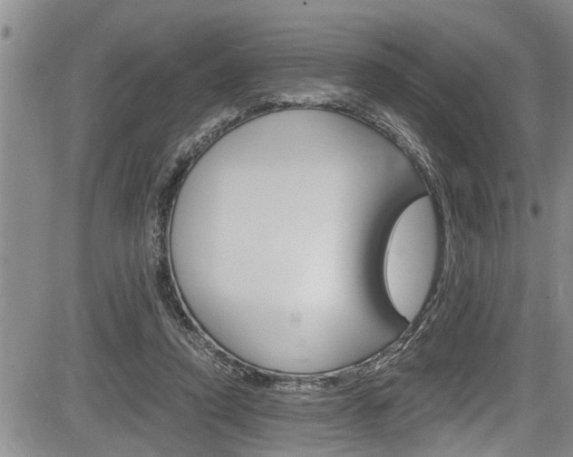 X0000084030354200702160858