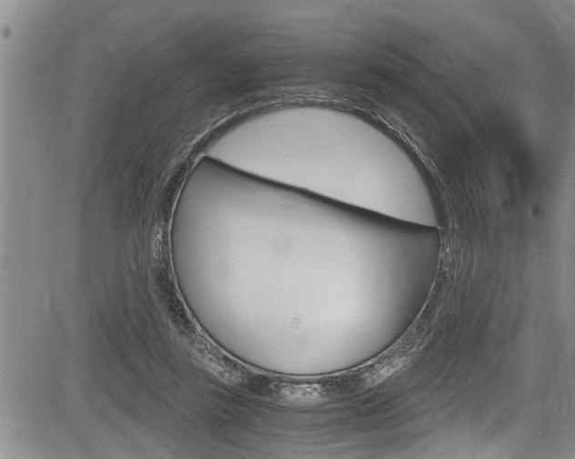 X0000084030355200702160858