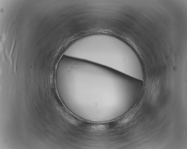 X0000084030357200702160858