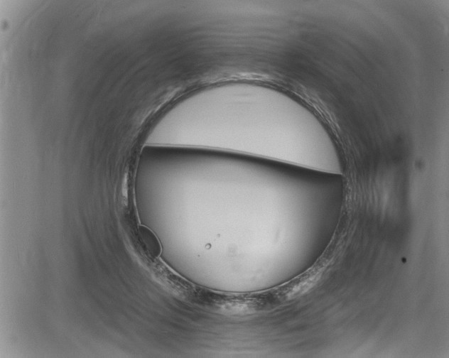 X0000084030358200702160858