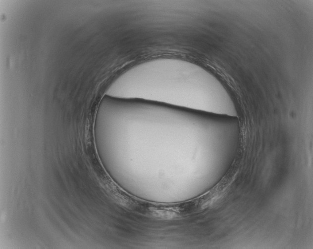 X0000084030359200702160858