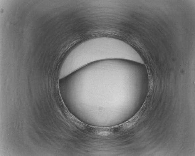 X0000084030360200702160858