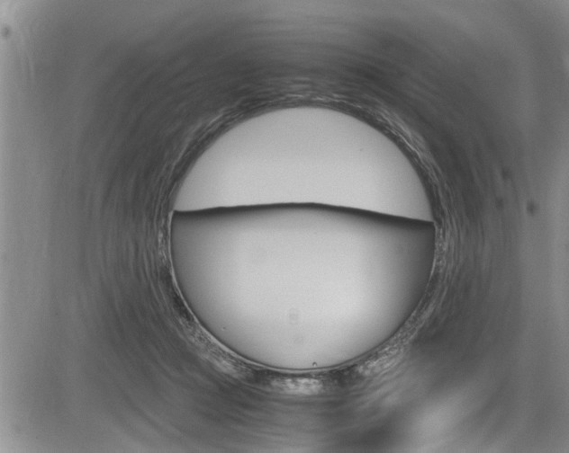 X0000084030361200702160858