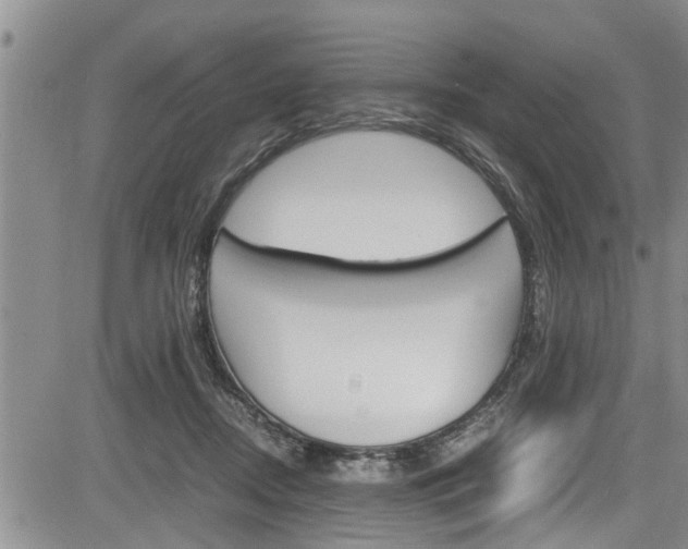 X0000084030362200702160858