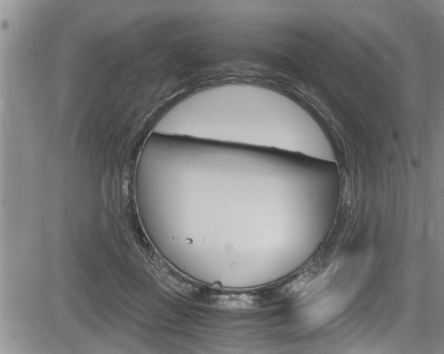 X0000084030363200702160858