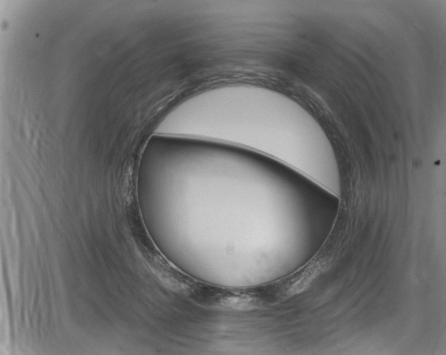 X0000084030364200702160858