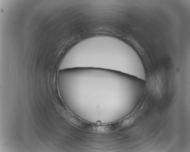 X0000084030365200702160858