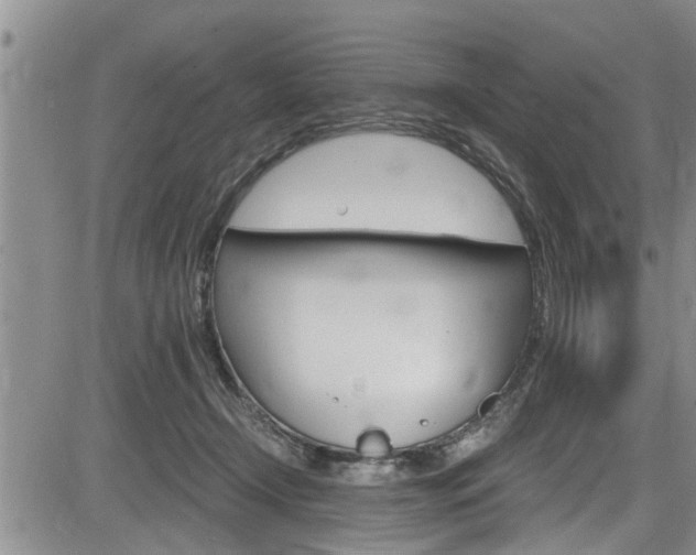 X0000084030366200702160858