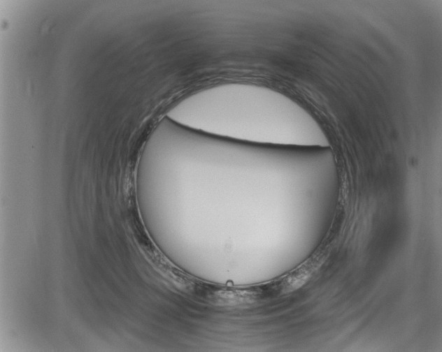 X0000084030367200702160858