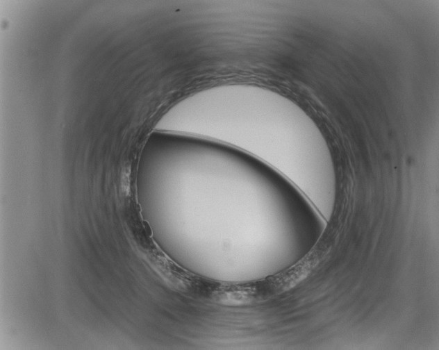 X0000084030368200702160858