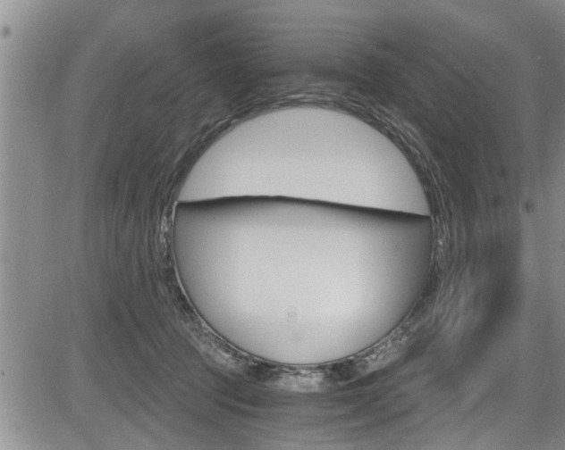 X0000084030369200702160858