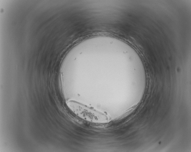 X0000084030370200702160858