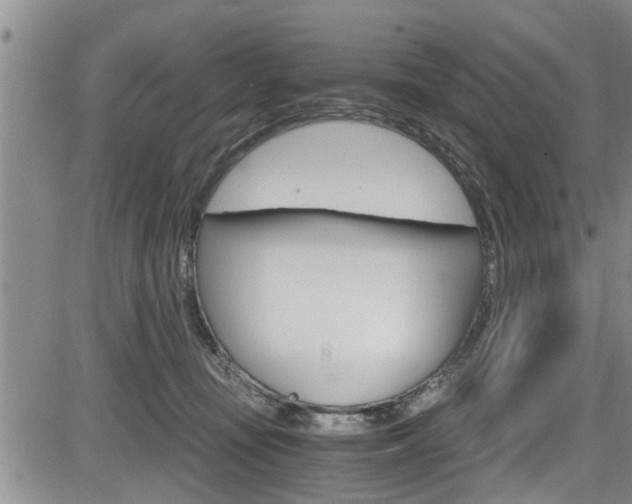 X0000084030371200702160858