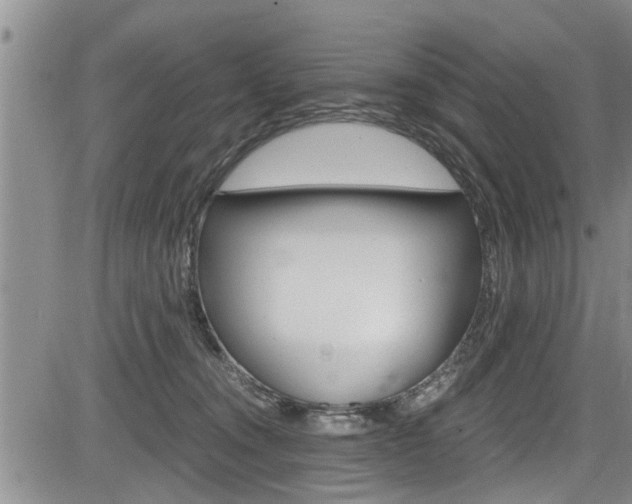 X0000084030372200702160858