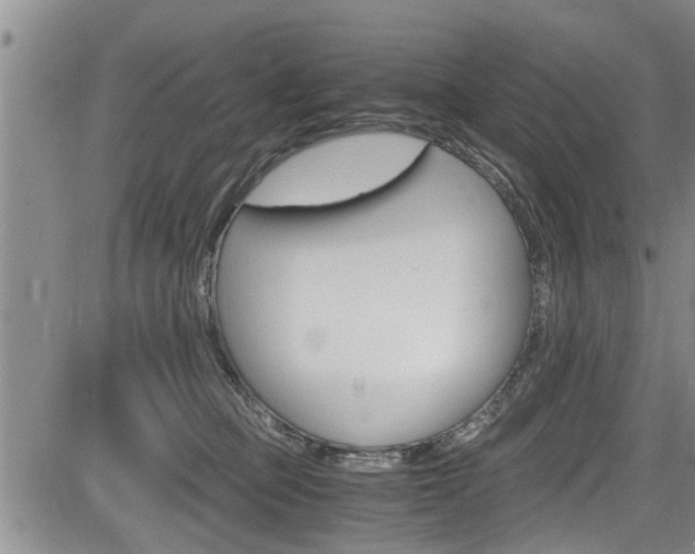 X0000084030373200702160858