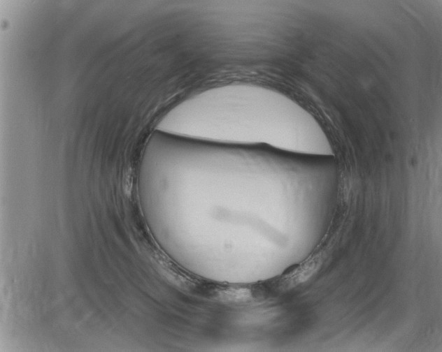 X0000084030374200702160858