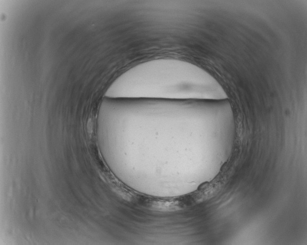 X0000084030375200702160858