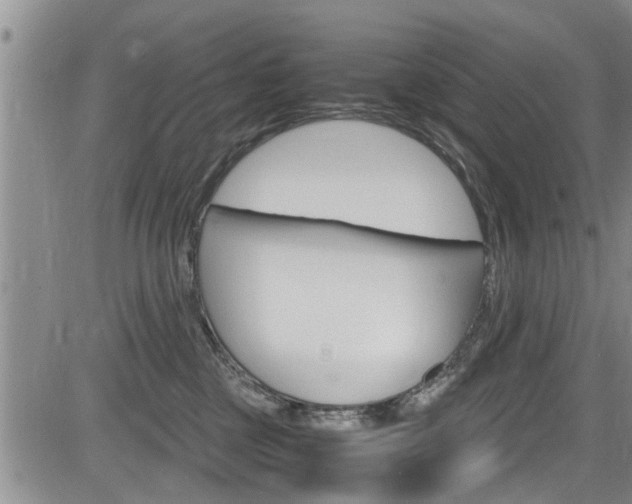 X0000084030377200702160858