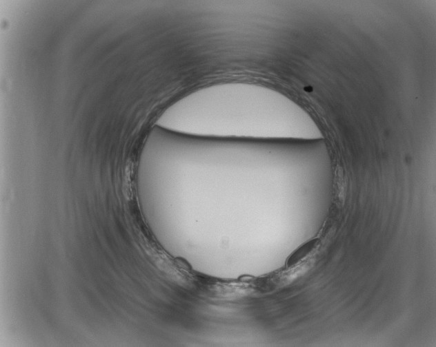 X0000084030378200702160858