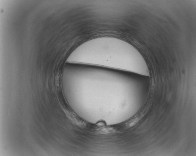 X0000084030379200702160858