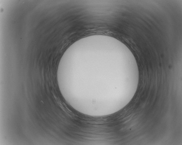 X0000084030380200702160858