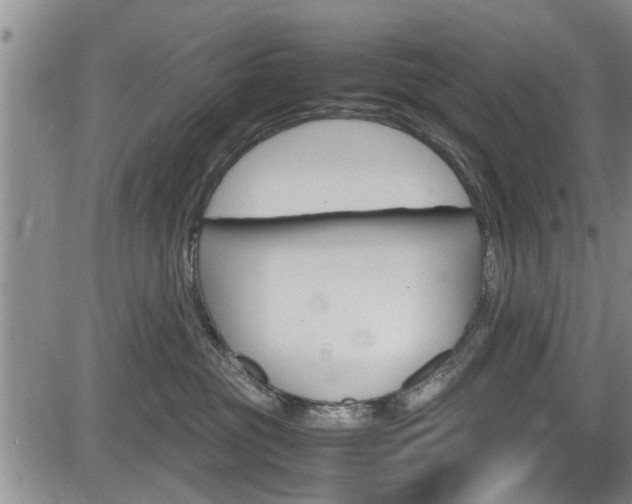 X0000084030381200702160858