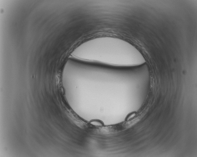 X0000084030382200702160858