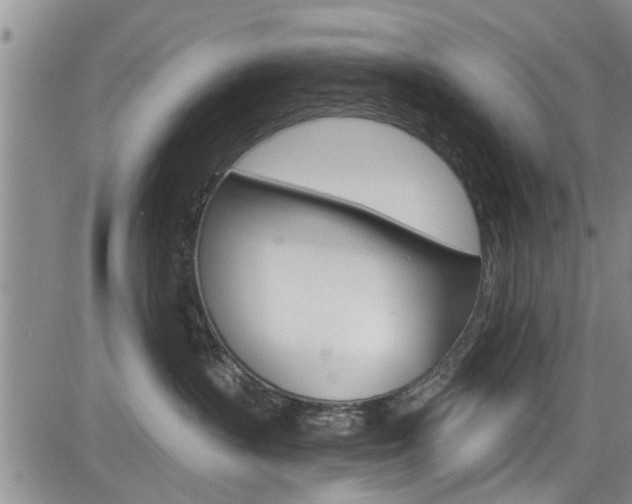 X0000084030383200702160858