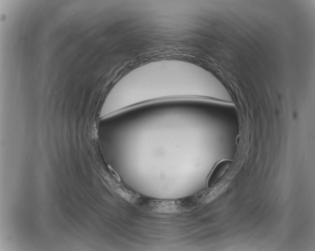 X0000084030384200702160858