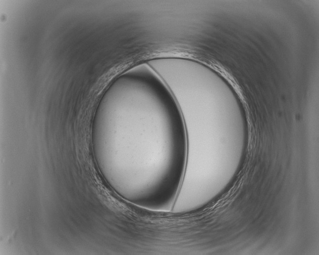 X0000084030385200702160857