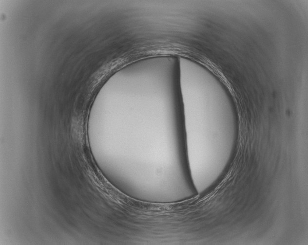 X0000084030386200702160857