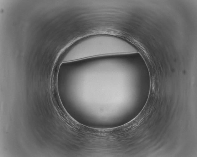 X0000084030388200702160857