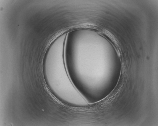 X0000084030389200702160857