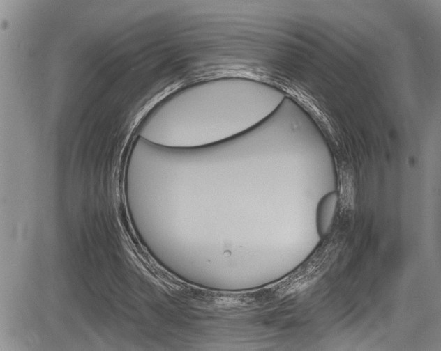 X0000084030390200702160857