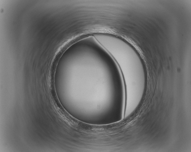 X0000084030391200702160857