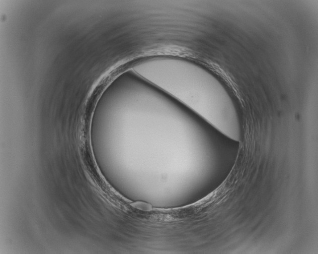 X0000084030392200702160857