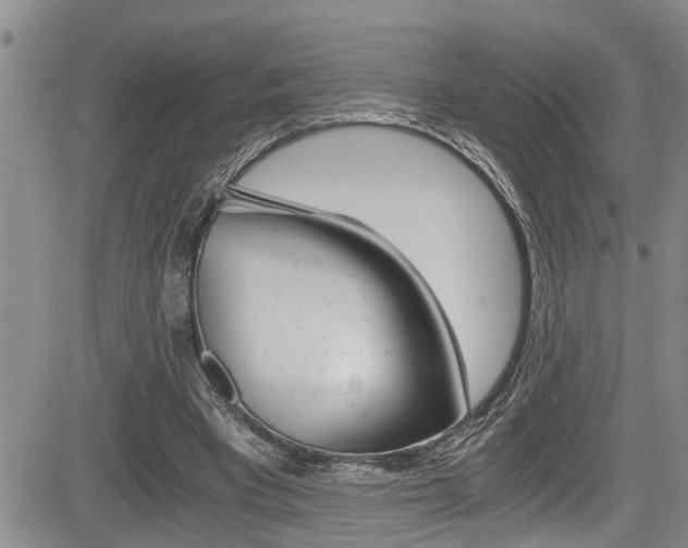 X0000084030393200702160857