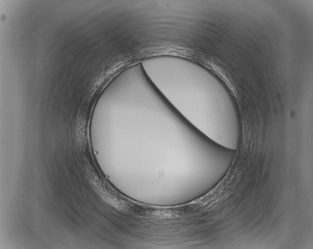 X0000084030394200702160857