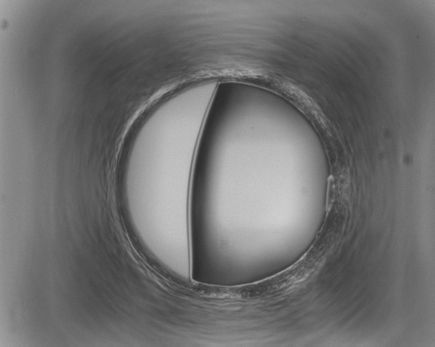 X0000084030395200702160857